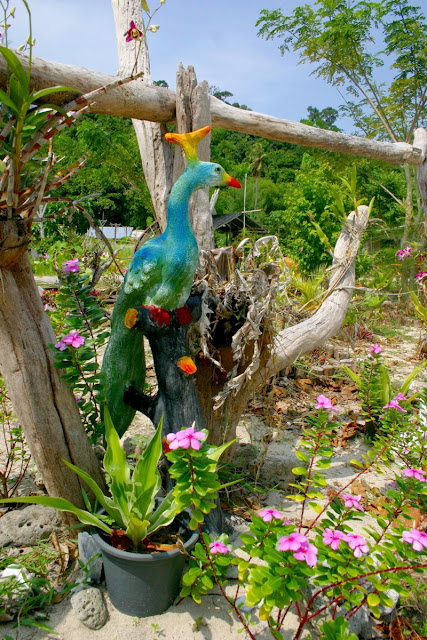 Using drift wood, sculptures and flowers  to create a wild looking garden at Love Island.