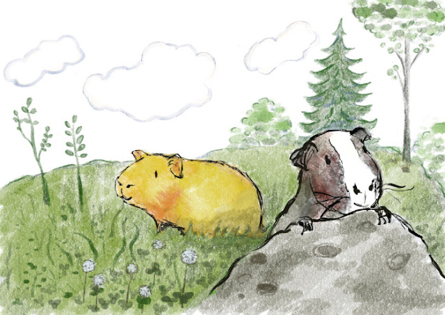 Aija Saukkosen kuvitus kahdesta marsusta, 2023, / Two guinea pigs, illustration by Aija Saukkonen