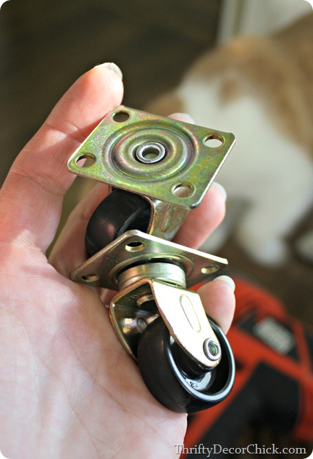 castors 