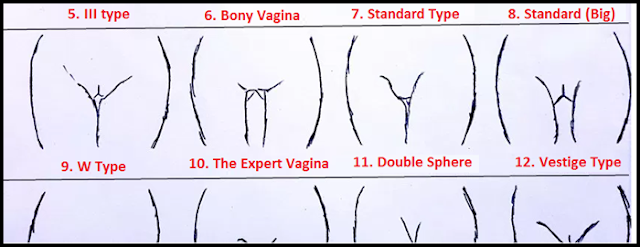 Vaginas-Have-Total-10-Types-Which-One-Do-You-Have
