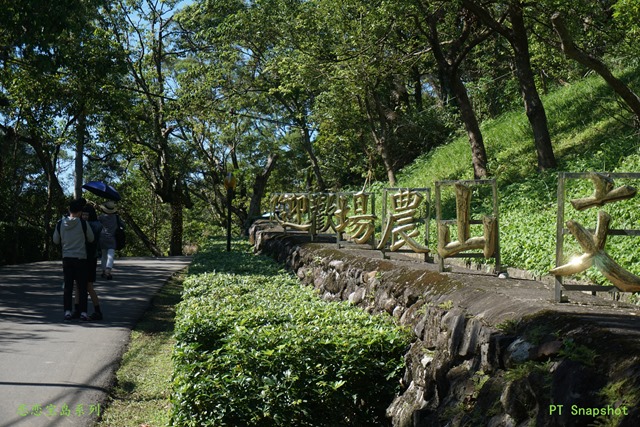 DSC07455 DSC07455