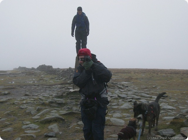 mardale 010