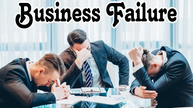 Why Businesses Fail: Examining the Different Types and Causes, with Real-Life Examples