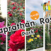 Faprathan Rose Park 