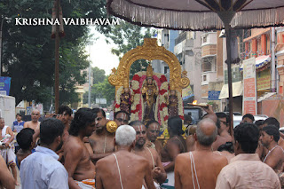 Sri Theliya Singar,Purattasi, second, sanivaram,Parthasarathy Perumal Temple,Purappadu,2016, Video, Divya Prabhandam,Sri Parthasarathy Perumal, Triplicane,Thiruvallikeni,Utsavam,