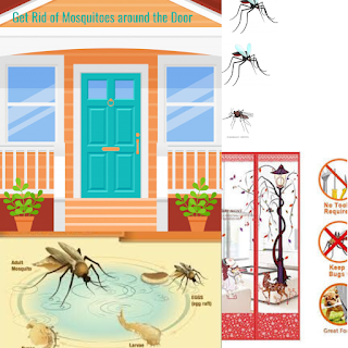 Get Rid of Mosquitoes around the Door