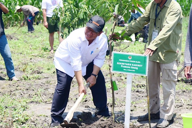 Presiden Jokowi Tanam Pohon Mangga bersama Para Petani