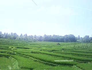 https://www.narasilia.com/2018/12/naik-kereta-ke-tempat-wisata-murah-dekat-stasiun-Bandung.html