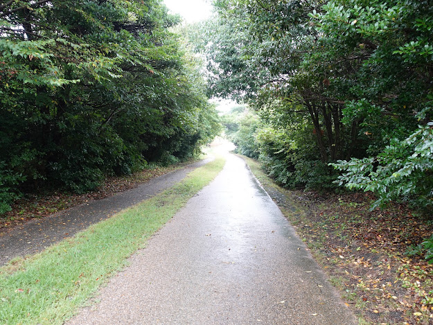 鳥取県西伯郡大山町妻木　鳥取県立むきばんだ史跡公園