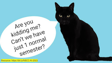 A black cat staring at the viewer with a word ballon that says "Are you kidding me? Can’t we have just 1 normal semester?".