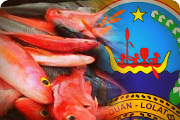  Harga Ikan di Saumlaki Naik