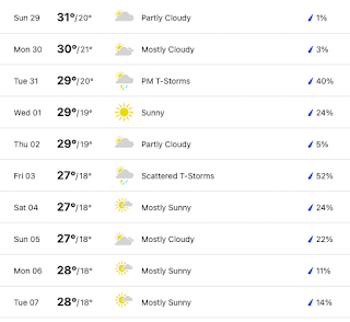 Larnaka upcoming weather forecast, end of October 2023