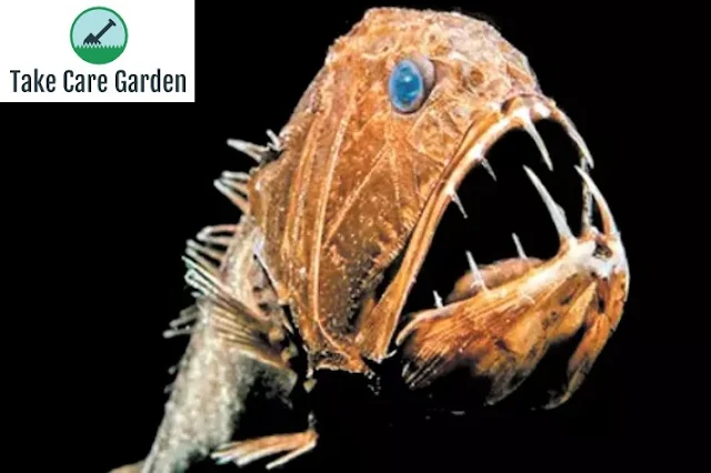 Descubra as 7 Espécies de Peixes Mais Fascinantes do Fundo do Mar
