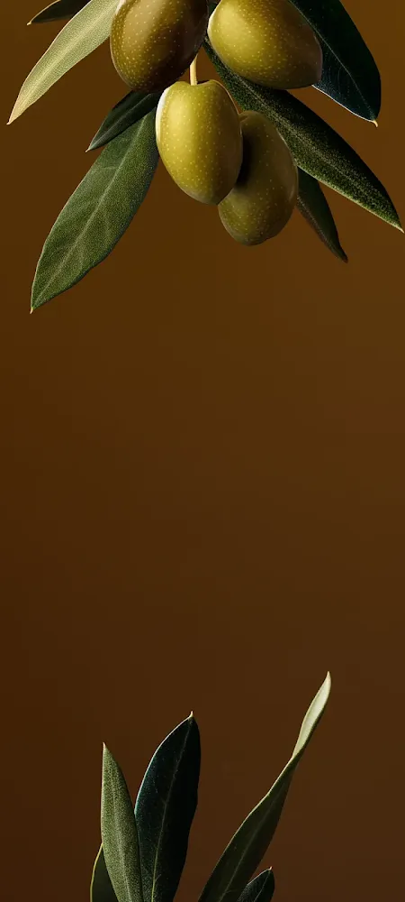Wallpaper 10