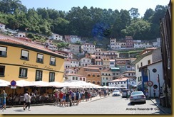 031-DSC_1905