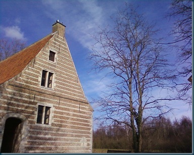 Photo-51
