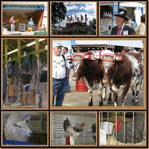 Fair mosaic