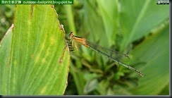 20140807_180044_020_No4park