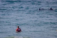 Bronte and Dolphins