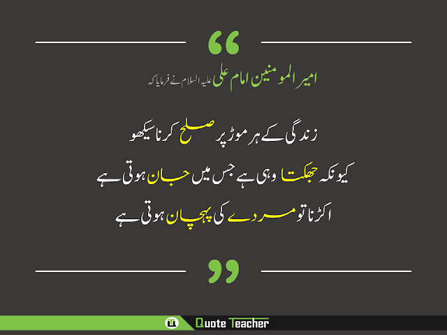 Imam Ali a.s Quotes About Human Behaviour in Urdu