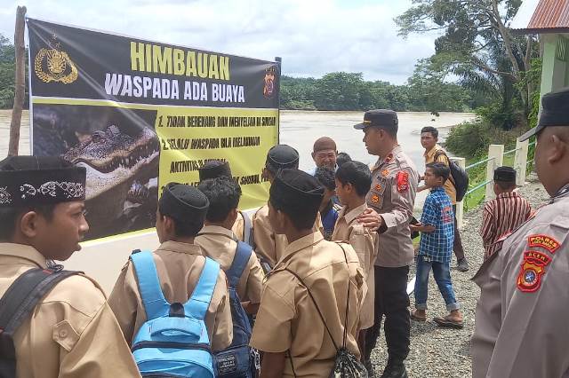 Buaya Liar Muncul di Sungai