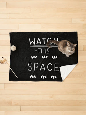 Photo of a cat on a watch this space pet blanket, with white hand-lettering on a black background.