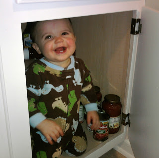 Hanging out in the kitchen cabinet.