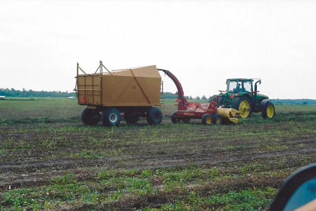 Kanne Mint Farms, Jasper County, Indiana, Peppermint, Chasing Saturdays