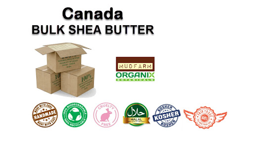 canada online shea butter