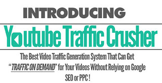 Download Niche Traffic Crusher + OTO