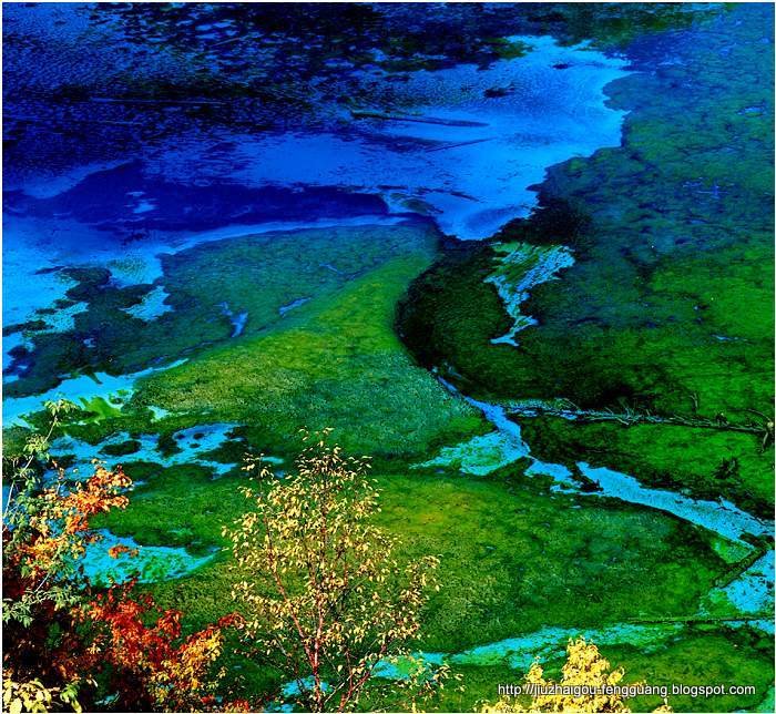 九寨沟风光:jiuzhaigoufengguang-46944