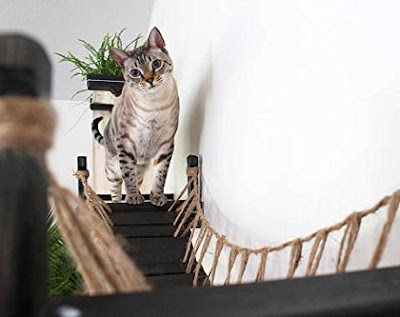 The Rickety Rope Cat Bridge Is Wood Hanging Rope Bridge For Your Cat