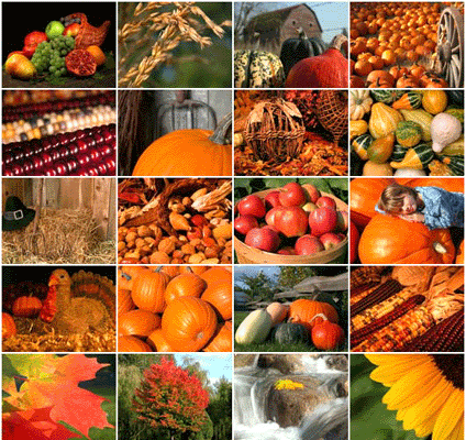 Thanksgiving Wallpaper on Vegetables Wallpaper With