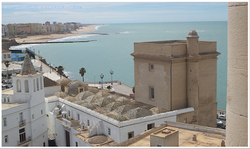 Catedral de Cádiz; Catedral Nueva; Catedral de Santa Cruz sobre el Mar; Europa; Espanha; Plaza de la Catedral;