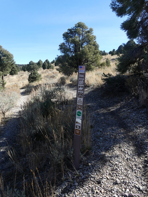 15: mystery trail with sign