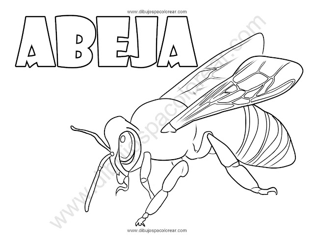 Bee coloring pages Dibujo Abeja Para Colorear
