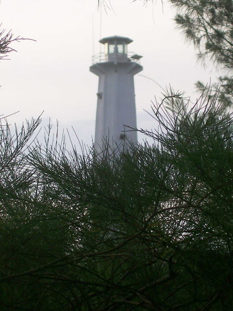 lighthouse slipped behind green trees