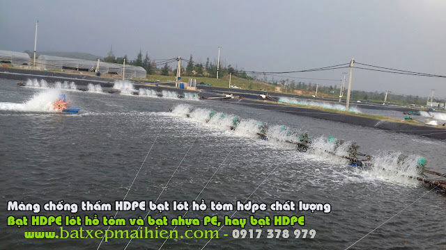 Bảng Giá Bạt Lót Ao Hồ Nuôi Tôm tại Long An Củ Chi hốc Môn TPHCM