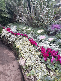 Allan Gardens Conservatory 2019 Winter Flower Show four by garden muses--not another Toronto gardening blog