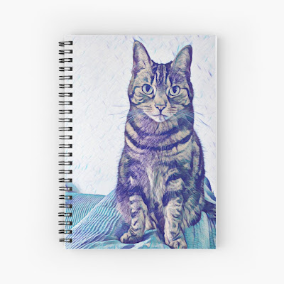 tabby cat spiral notebook