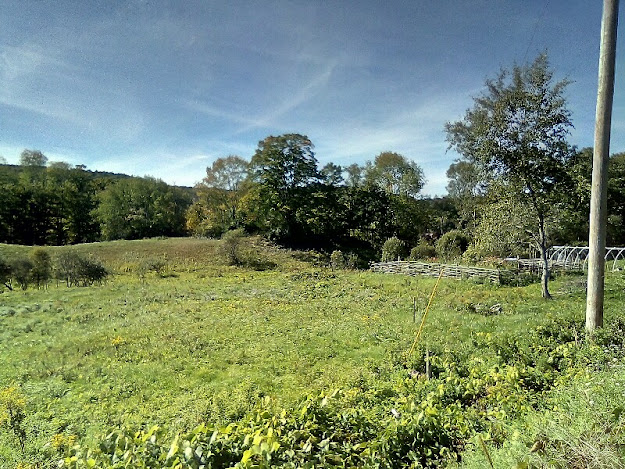 Jericho Road in Hartford Township, Vermont -- photo by Gabriel L. Daniels