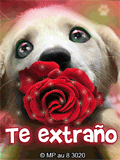Te Extraño