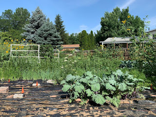 Overview of urban farm