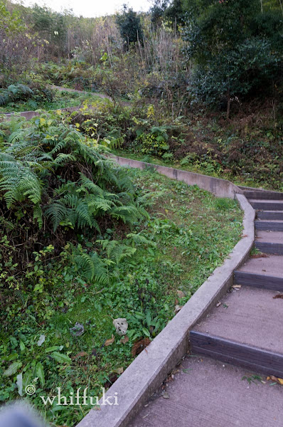 山頂に続く険しい階段