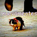  Todo el mundo fue advertido de no tocar este gato, pero este hombre hizo. Esto es desgarrador.