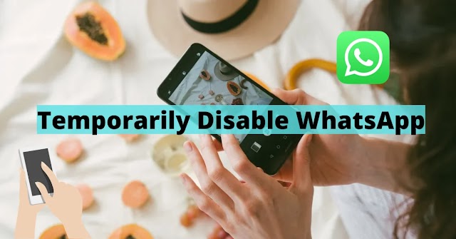 How To Temporarily Disable WhatsApp No 1 Way