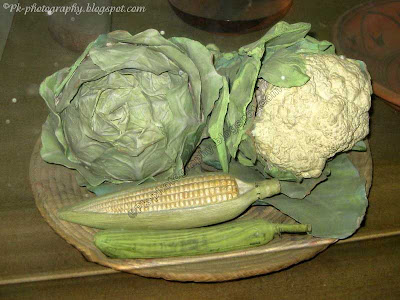 Vegetable Model