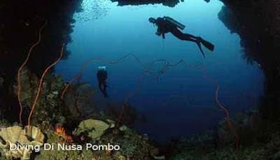 Nusa Pombo