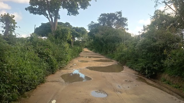 ANUNCIAM UMA COISA E A REALIDADE É OUTRA EM BOM CONSELHO