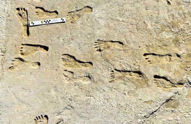 Древние следы ног в Нью-Мексико